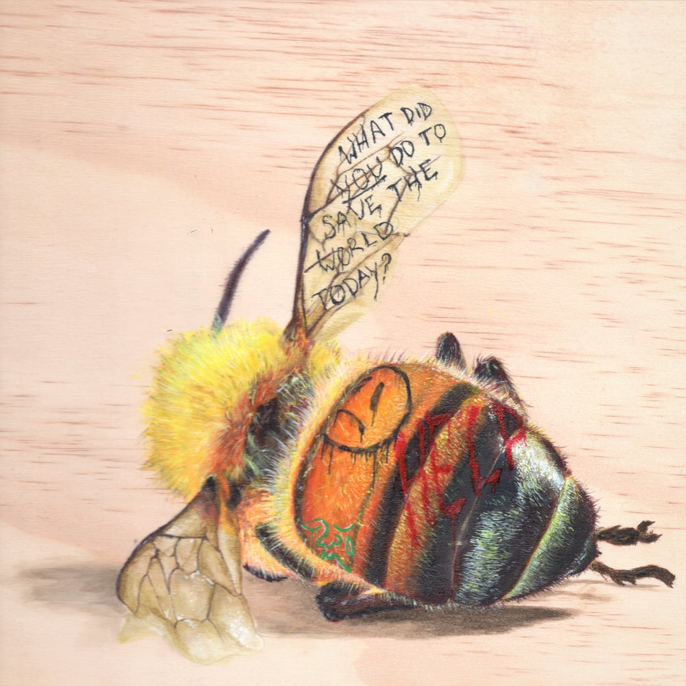 Image of TAGGED(in color): Bee
