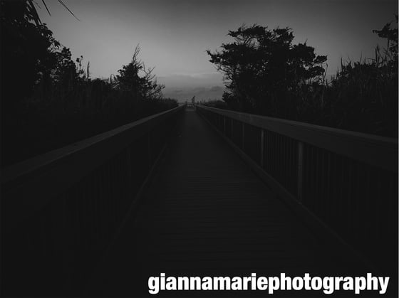 Image of Dark Shadows