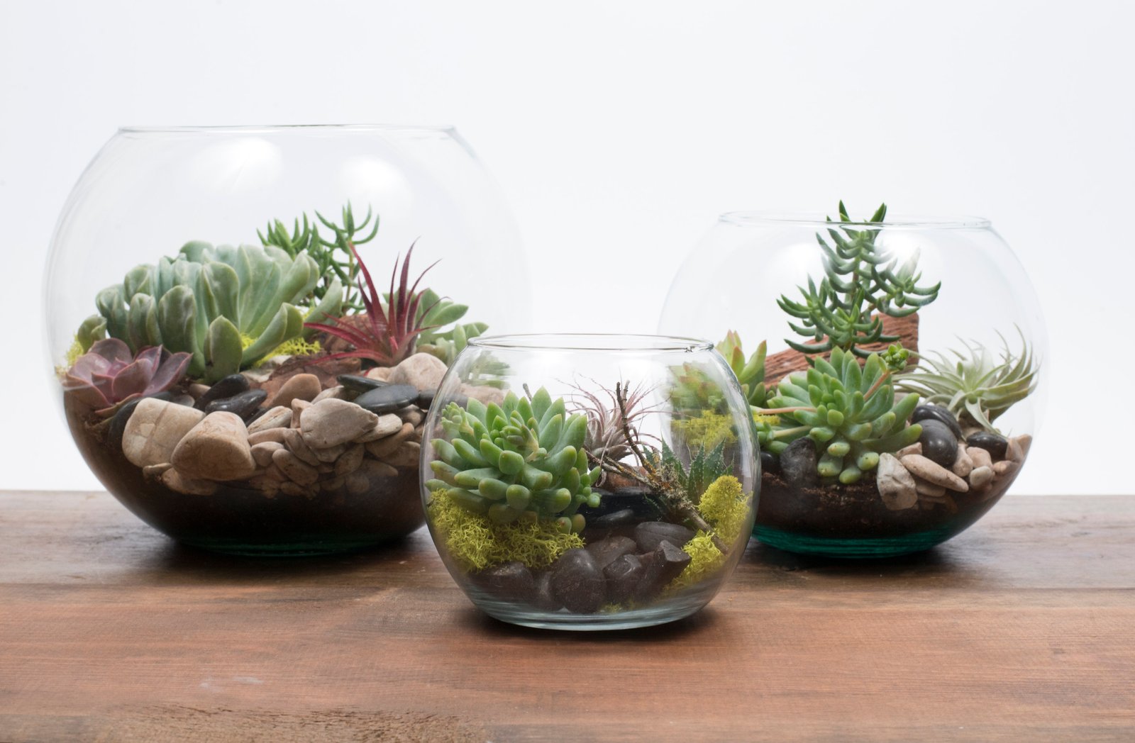 TERRARIUM / Amanda Karam Floral Co. / Portland Oregon Flower Delivery