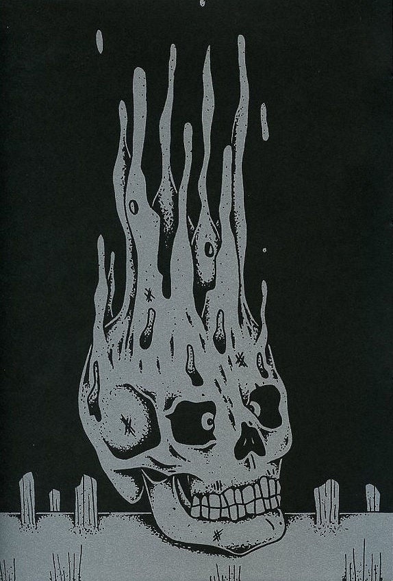 Image of SILVER SKULL HUNTERS