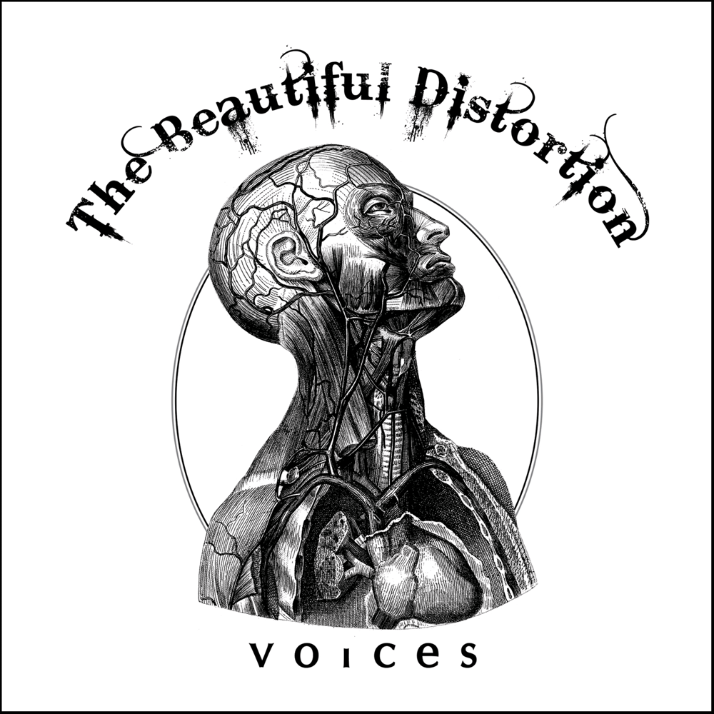 Image of The Beautiful Distortion "Voices" CD (original rock music)