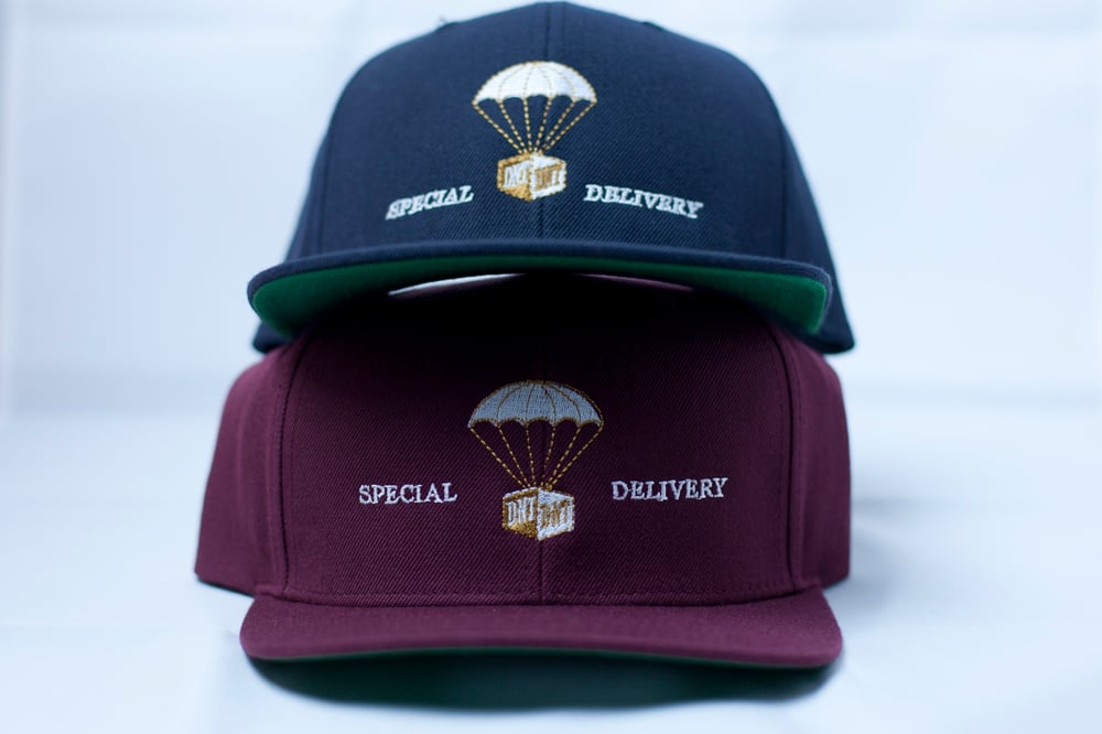 Image of Special Delivery Hat