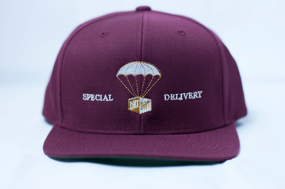 Image of Special Delivery Hat