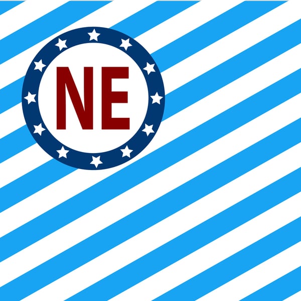 Image of Northeast Minneapolis Flag (2' x 3' wall flag)