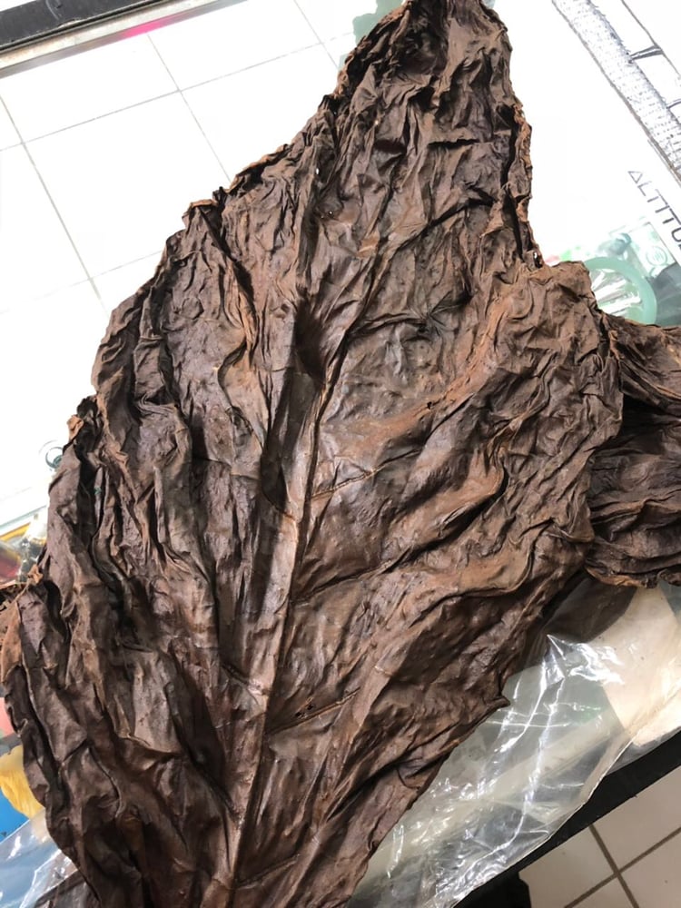 Image of Funta / Blend