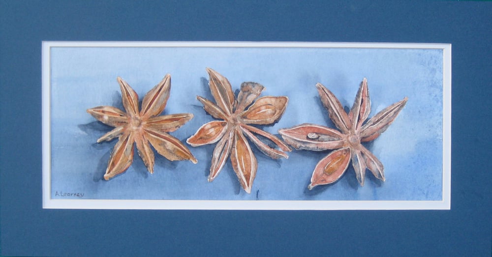 Image of Star Anise