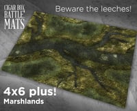 Image 1 of Marshlands -- 4x6plus -- #580