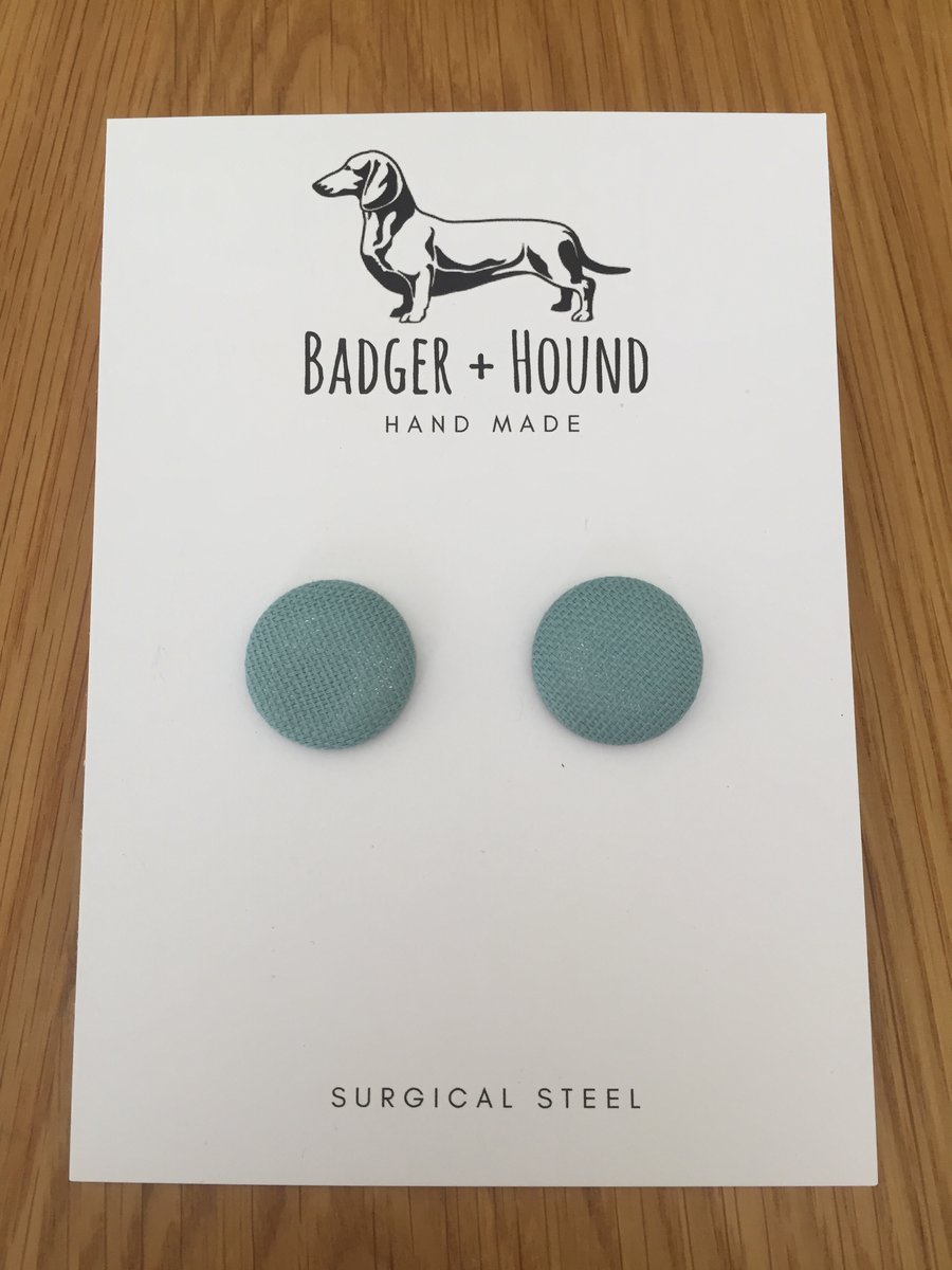 Image of DUCK EGG button earrings