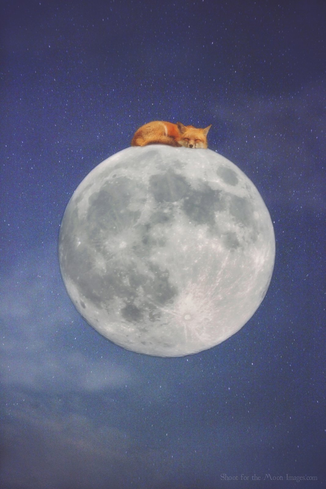 moon and stars overlay moon and stars overlay