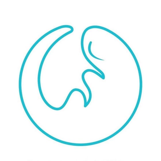 Image of SalaMantra / SalaMantra