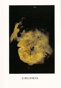 Image of C H L O R I S.