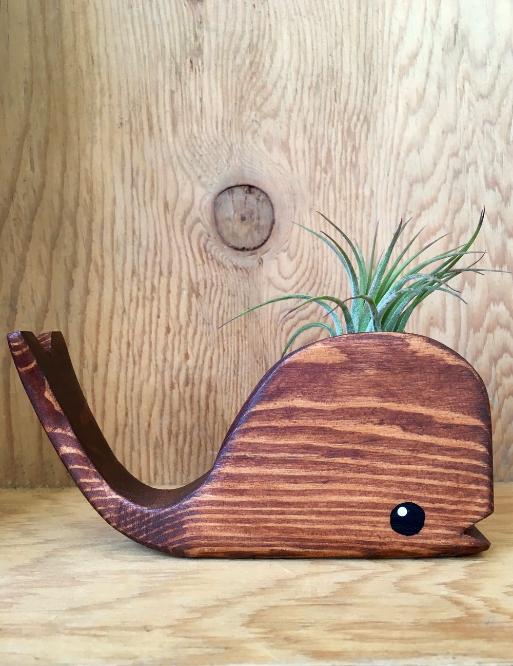 Tiny Wooden Whale With Airplant - Walnut, Turqoise or Orange