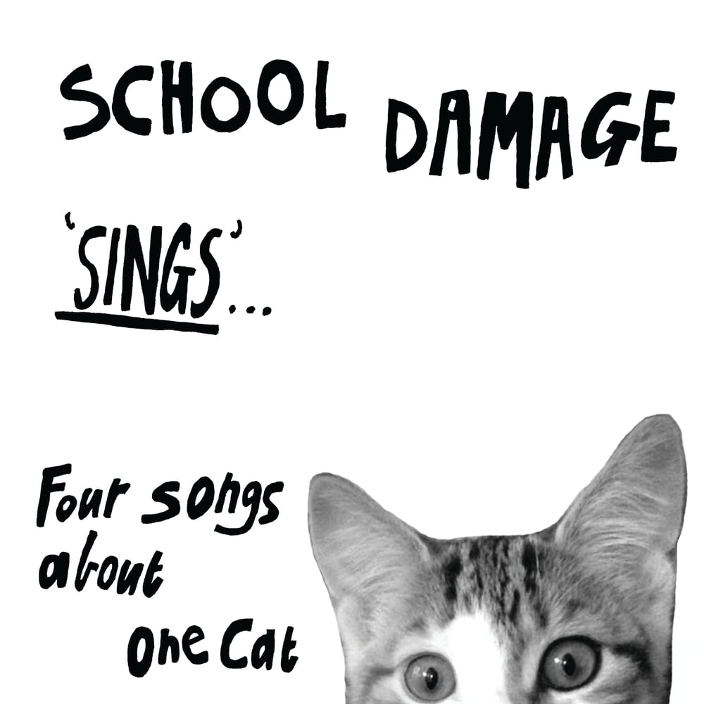School Damage Sings Four Songs About One Cat Upset The Rhythm Shop