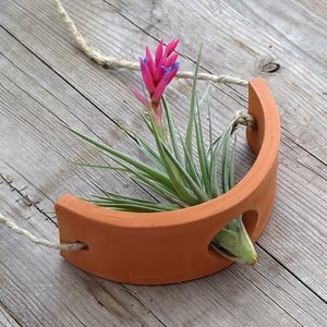 Image of Small Terracotta Hanging Air Plant Cradle