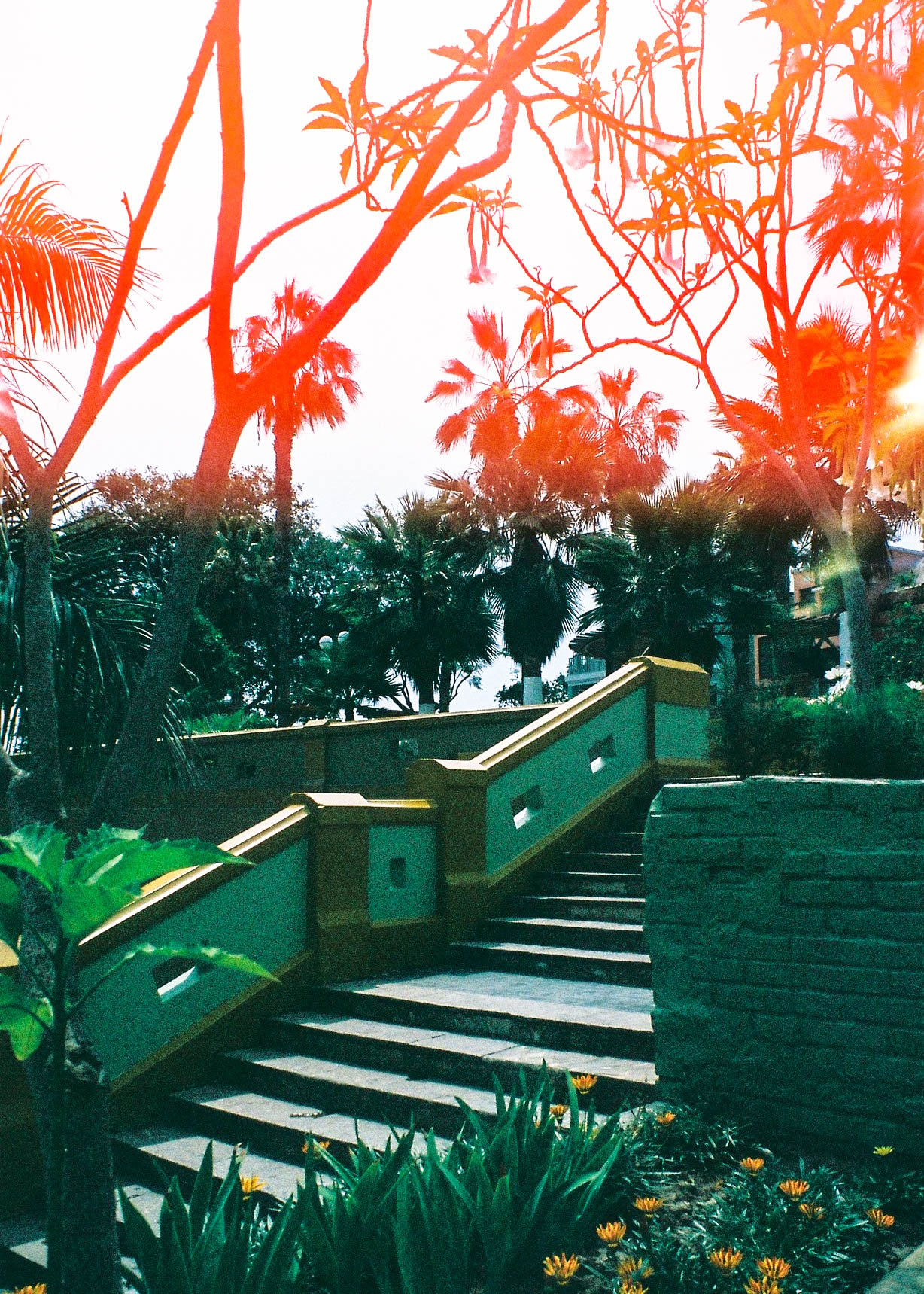 Image of Barranca Steps