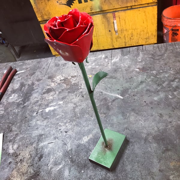 Image of Single Rose