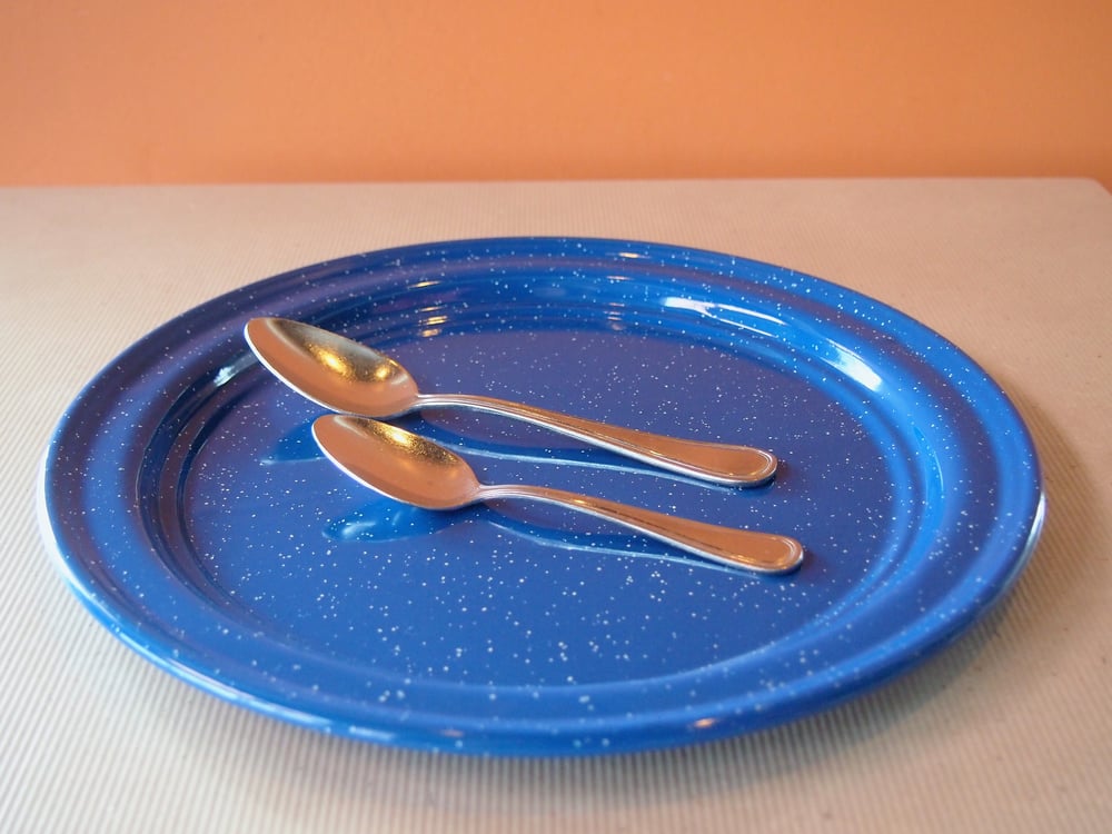 Image of Enamel coated dinner plate with edge