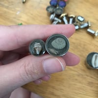 Image 2 of Seashell plugs (sizes 2g-2")