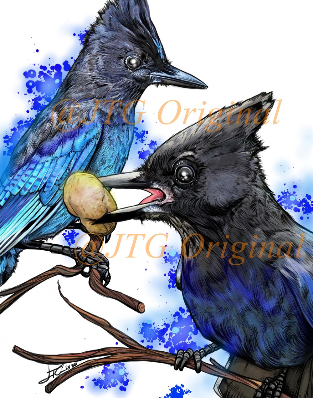 "Stellar Jay Blast" HD Aibrushed Nature series framed artwork