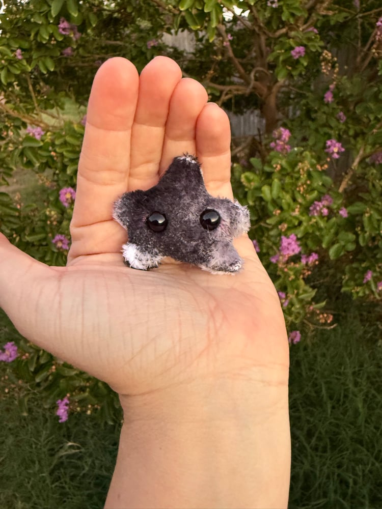 Image of Tiny star cow print 2