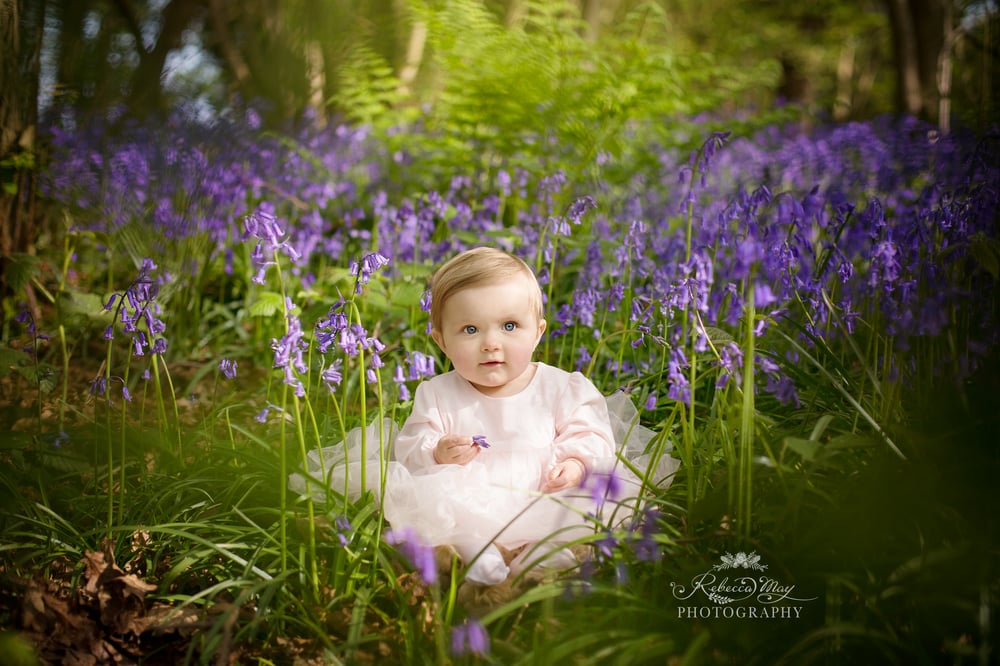 Image of BLUEBELL SHOOTS - Sunday April 28th 2024