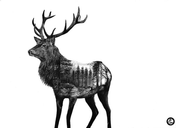 Image of Double exposure deer limited edition 10 print on Poster Rigide Forex 30x40 cm signed and numbered 