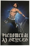 AJ Styles Art Print SIGNED by AJ STYLES