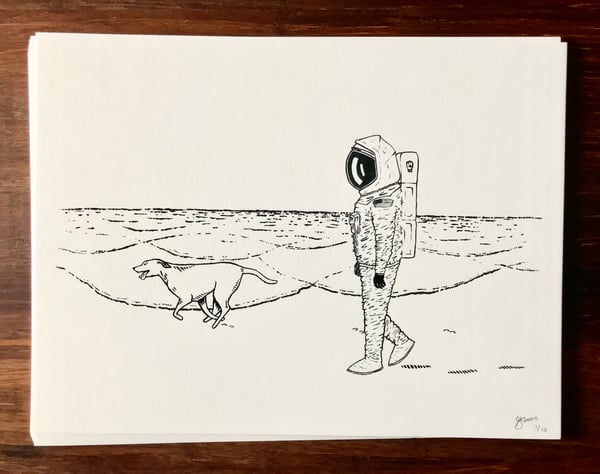 Image of A Walk on the Beach