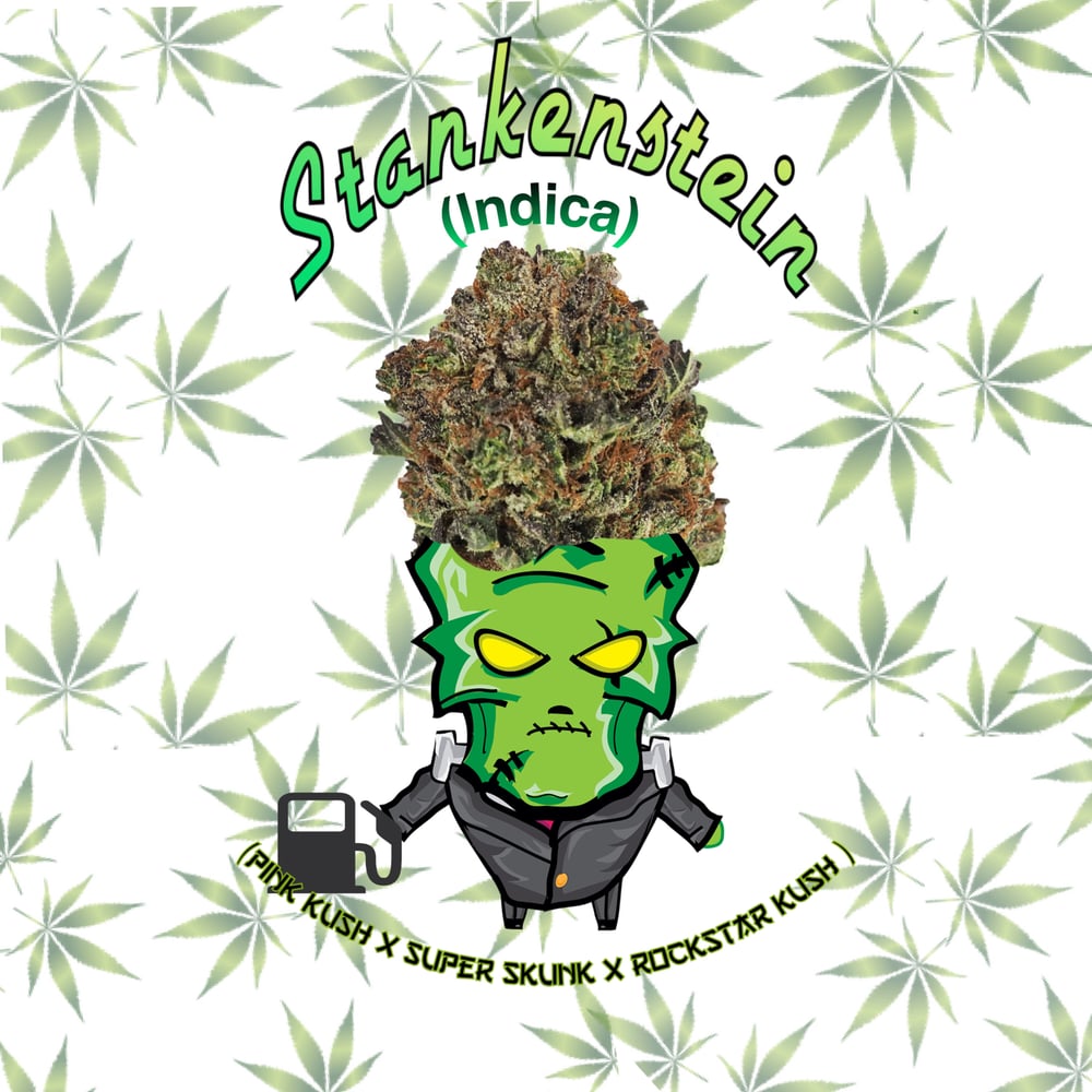 Image of Seeds/Flower/Extract - Strain: STANKENSTEIN #1