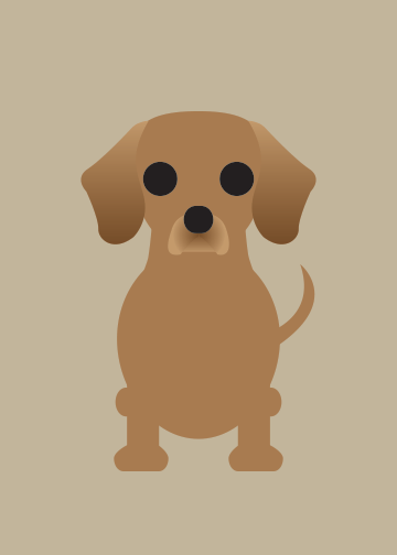 Chiweenie Collection
