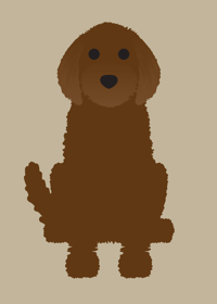 Image 3 of Labradoodle Collection