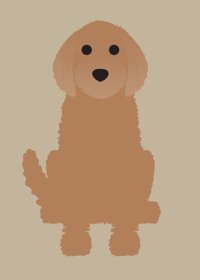 Image 4 of Labradoodle Collection