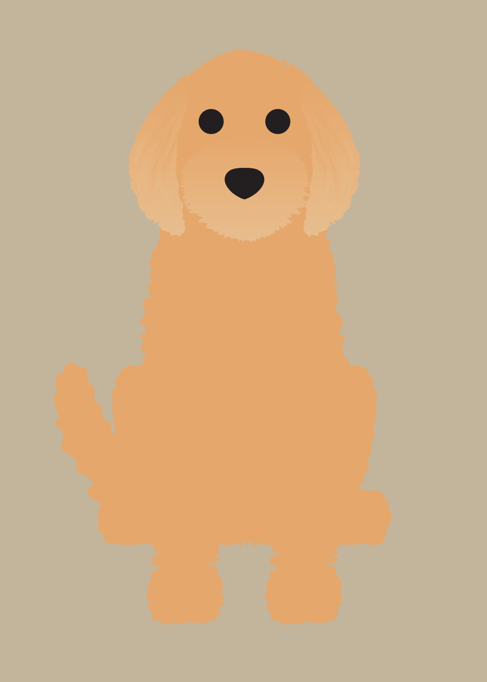 Labradoodle Collection