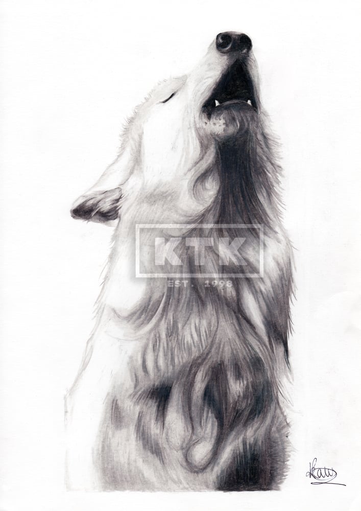 Image of White Wolf