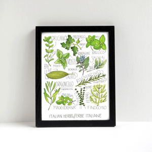 Image of Italian Herbs Print