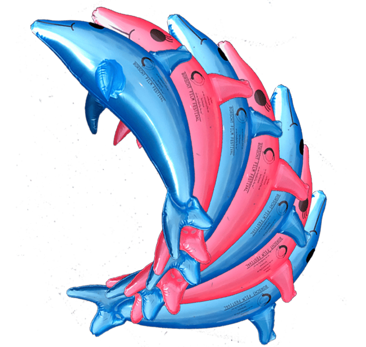 Image of Stupid Inflatable Dolphin