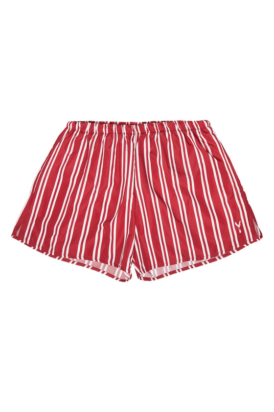 Image of Boxer Mare Stripes Bordeaux