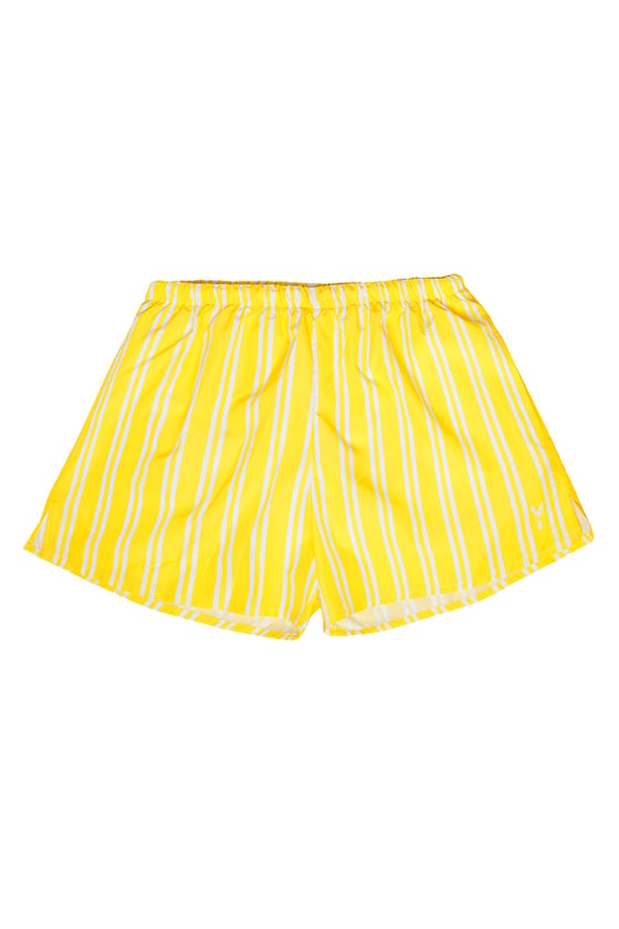 Image of Boxer Mare Double Stripes Yellow