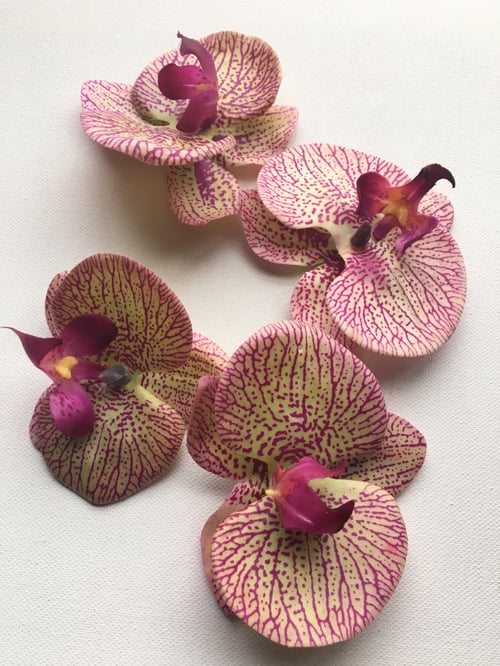 Image of FLOWER GANG :: Striped Orchid Earrings