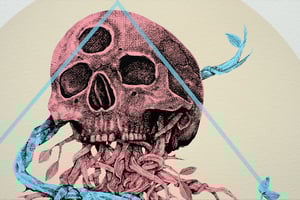 Image of ALEXIS DIAZ | The Cage