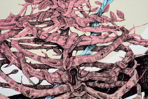 Image of ALEXIS DIAZ | The Cage