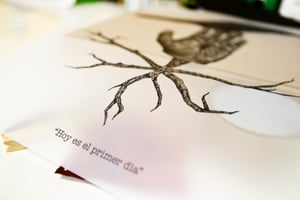 Image of ALEXIS DIAZ | Hoy es el primer dìa