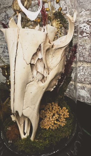 Image of Deer Skull Cast Iron Cloche