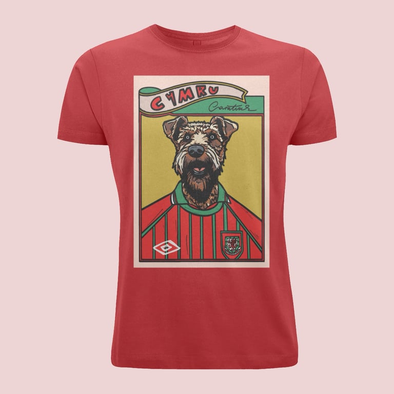 Wales 94 home , Man’s best friend (shirt or print)