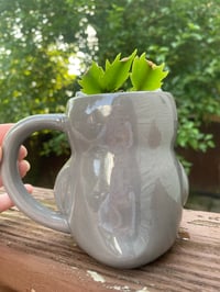 Image 3 of Thanksgiving Cactus in Gray Owl Mug
