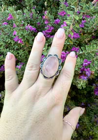 Image 1 of The Camellia (9)