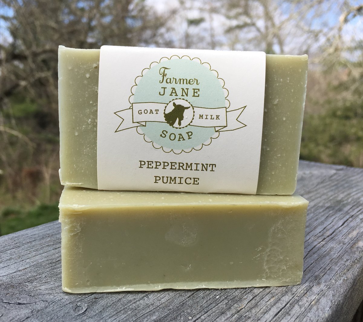 Peppermint Pumice | Farmer Jane Soap