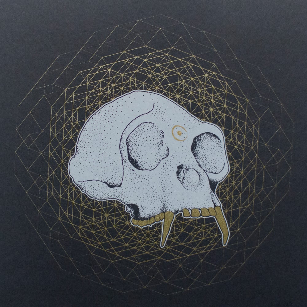 Image of Gibbon Skull print
