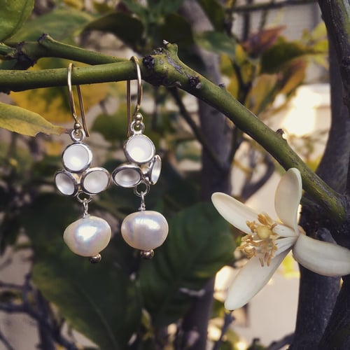 Image of Pearl Acacia Cluster Drops