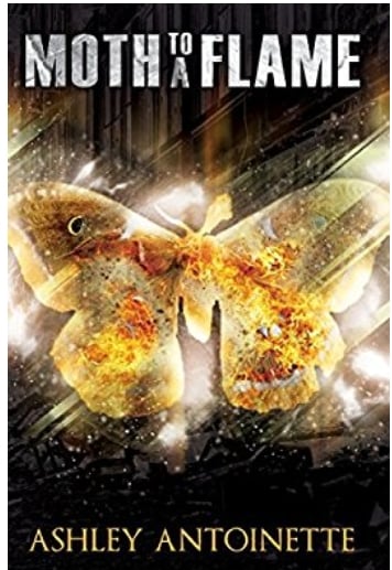Image of Moth to a Flame